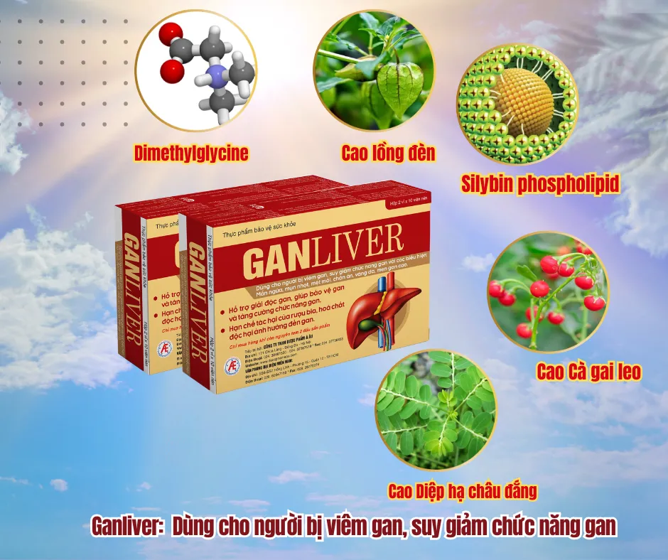 Ganliver giúp cải thiện viêm gan B hiệu quả.webp